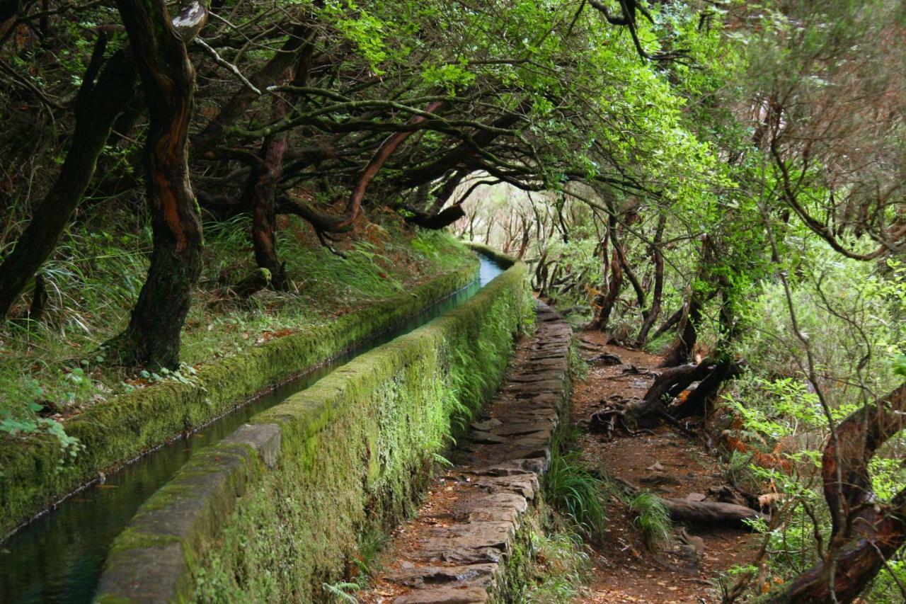 Lucilia'S House Villa Calheta  Dış mekan fotoğraf